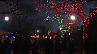 A la venta los boletos para ZooLights en el Zoológico de Lincoln Park [upl. by Erreip]