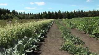 Northern GrownHow is Thunder Bay Feeding Itself [upl. by Wende203]