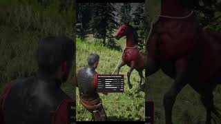 RARE Horse Location In RDR2 shorts rdr2 funny [upl. by Atteoj]