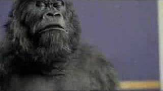 Cadburys Gorilla vs Cameo Word Up Remix [upl. by Icats]