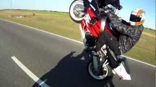 CBR 900RR Wheelie [upl. by Eniamirt]