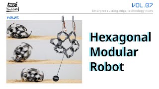 Hexagonal Electrohydraulic HEXEL Modules HighSpeed Robot [upl. by Charry412]