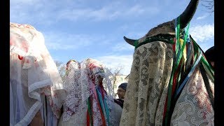 IL CARNEVALE DI BASILICATA [upl. by Atlanta924]