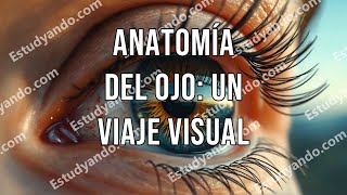 Anatomía del Ojo Un Viaje Visual [upl. by Fritzsche]