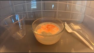 Dissolving Chicken in Potassium Hydroxide  Timelapse [upl. by Magdaia]