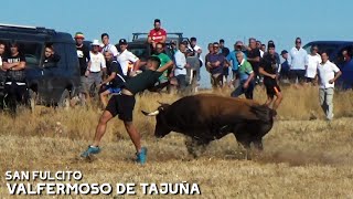 ENCIERRO por el CAMPO con UN TORO  VALFERMOSO DE TAJUÑA 2023 [upl. by Yeliw828]