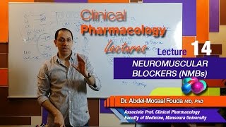 Autonomic Pharmacology Ar  Lec 14  Neuromuscular blockers NMBs [upl. by Kwabena]