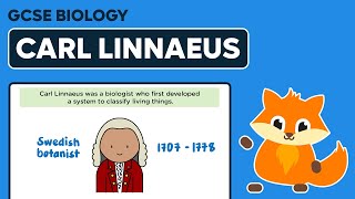 Carl Linnaeus  GCSE Biology [upl. by Shulem997]