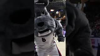 Does Gonzaga have the best homecourt advantage in college basketball [upl. by Felicio793]