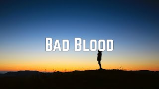 Taylor Swift  Bad Blood Lyrics [upl. by Raye]