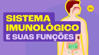 Como funciona o SISTEMA IMUNOLÓGICO Resumão [upl. by Hubie]