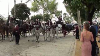 Feria de Sevilla 2011 Paseo de Caballos Sevillanas por Gracia Montes [upl. by Joanie]