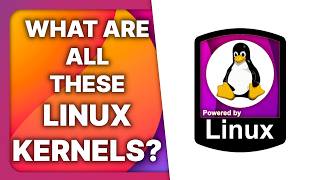 LINUX KERNEL variants explained Zen Xanmod TKG RealTime Liquorix [upl. by Zealand]