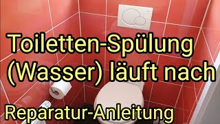 Toilettenspülung Wasser läuft nach UnterputzSpülkasten von Geberit in der Wand reparieren [upl. by Odnolor]