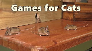 Cat Games  Mouse Watch TV  Mice for Cats to Catch 🐭 [upl. by Erait]