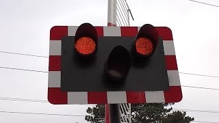 Level Crossing at Burrow Road Dublin [upl. by Shermy]