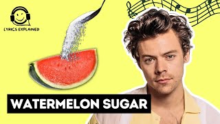 HARRY STYLES quotWatermelon Sugarquot  Official Lyrics and Meaning [upl. by Geanine]