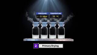 Product Lyophilization Process [upl. by Surtimed]