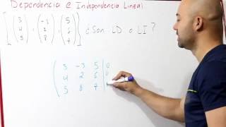 Dependencia e Independencia Lineal  Vectores  Álgebra Lineal [upl. by Pallua]