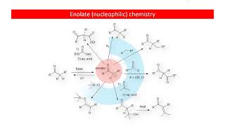 4220 Enolates in Organic Chemistry Synthesis [upl. by Enyleuqcaj]