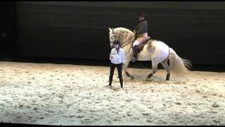 Que Cavalos São Aqueles que Fazem Sombra no Mar Maria de Medeiros Gonçalo Távora Correia [upl. by Nolham]