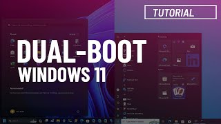 Dualboot Windows 10 and 11 Ultimate tutorial [upl. by Jessabell113]