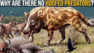 Why Are There No Predators With Hooves [upl. by Tove]