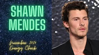 Shawn Mendes Tarot Reading  Purification💦 Helena Camila… [upl. by Shlomo]