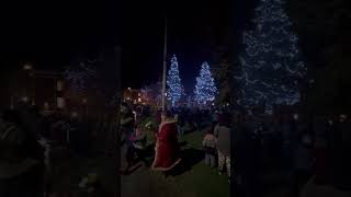 Lighting the Christmas Trees in Haileybury ON [upl. by Barri]