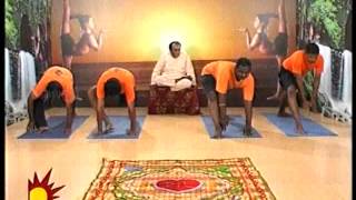 Dr Asana Andiappans Kalaignar TV Yoga Program on 28052012 Sirsa Pada Veerasana [upl. by Osicran]