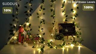 SUDDUS Vines with Curtain Lights [upl. by Ardin]