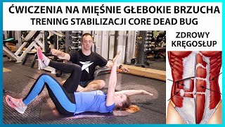 Jak ćwiczyć mięśnie głębokie brzucha Trening stabilizacji kręgosłupa mięsień poprzeczny DEAD BUG [upl. by Hendel]