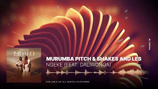 Murumba Pitch and Shakes amp Les  Ngawe feat Daliwonga [upl. by Akehsat887]