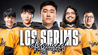 DSG SCRIMS FOR LCS  WERE GOING PRO  Flex w doublelift imaqtpie DisguisedToast scarra [upl. by Incrocci180]