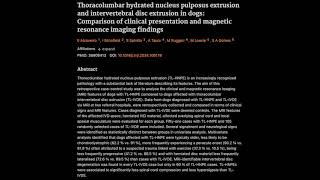 33 Thoracolumbar IVDD and HNPE Comparison [upl. by Jeanine745]