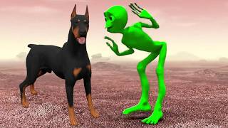 Dancing Doberman The Viral Sensation Behind Dame Tu Cosita [upl. by Eatnwahs976]