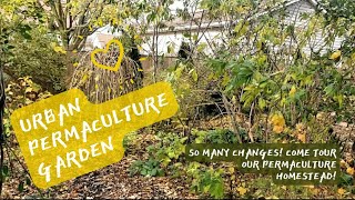 So Much Has Changed Urban Permaculture Homestead Fall Tour [upl. by Andaira204]