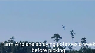 Farm Airplane spraying potatoes a week before picking [upl. by Thatch]