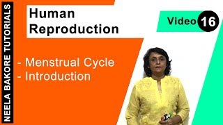 Human Reproduction  NEET  Menstrual Cycle  Introduction  Neela Bakore Tutorials [upl. by Nwahsel]