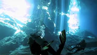 Cenotes Mexico dive [upl. by Trutko259]