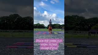 Polework Exercise  Trot amp Canter Straightness for Horses [upl. by Sergu]