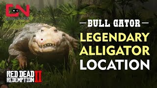 Red Dead Redemption 2  Legendary Alligator Location  Bull Gator [upl. by Dimmick]