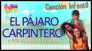 🐦 EL PÁJARO CARPINTERO 🐦 Y MÁS CANCIONES PARA NIÑOS [upl. by Leorsiy]