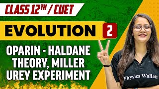 Evolution 02  Oparin Haldane Theory Miller Urey Experiment  Class 12thCUET [upl. by Stamata]