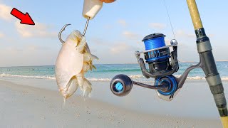 Tossed a Massive Sand Flea in the Surf and Caught Dinner Catch Clean Cook [upl. by Kimberli26]