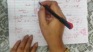 Mechanism of electrolysis and preferential discharge of ions [upl. by Ferrigno]