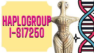 YDNA Haplogroup  IS17250  Slavic DNA  Cucuteni–Trypillia culture [upl. by Merkle]