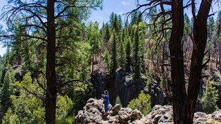 Week 16 White Horse Lake  Kaibab National Forest  Williams AZ [upl. by Orme]