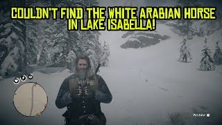 Couldnt find the white Arabian horse at Lake Isabella  Red Dead Redemption 2 [upl. by Omolhs15]