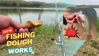 SECRET FISH BAIT FORMULA HOOK A FISH EVERY TIME [upl. by Grath]